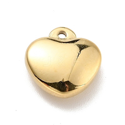 Ion Plating(IP) 304 Stainless Steel Glaze Manual Polishing Charms LS-STAS-G030-09A-G-1