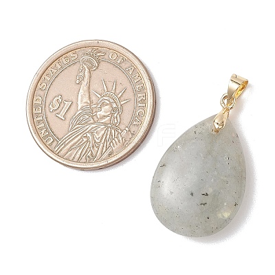 Natural Labradorite Pendants PALLOY-JF04953-1