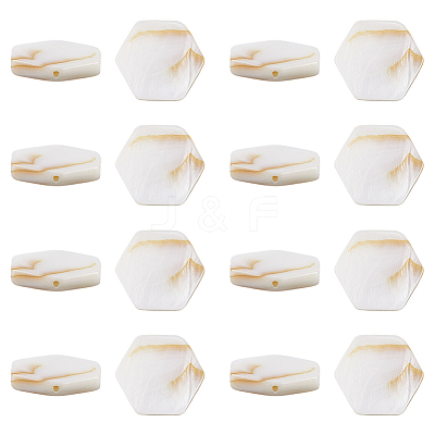 2 Strands Natural Freshwater Shell Beads Strands SSHEL-SC0001-36D-1