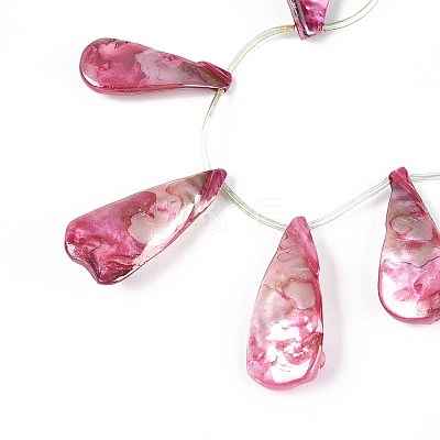 AB Color Plated Dyed Natural Freshwater Shell Beads Strands SHEL-T020-55A-1