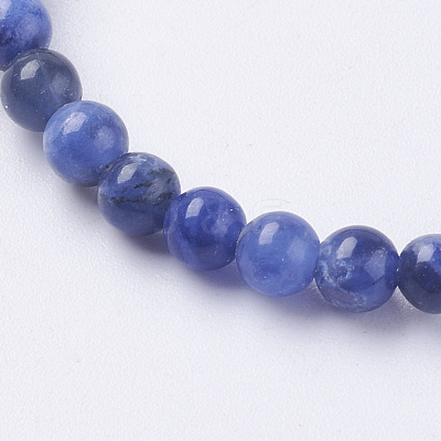 Natural Sodalite Beads Strands X-G-G515-4mm-07-1