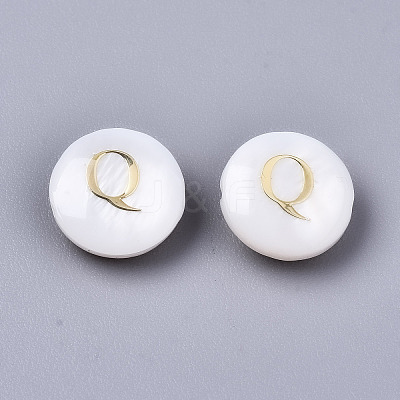 Natural Freshwater Shell Beads SHEL-S266-12Q-1