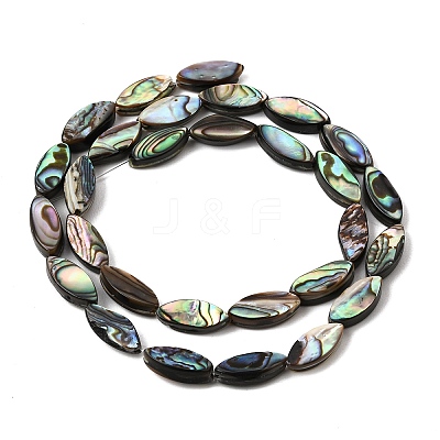 Natural Abalone Shell Paua Shell Beads Strands SH-CBA69D1-01-1
