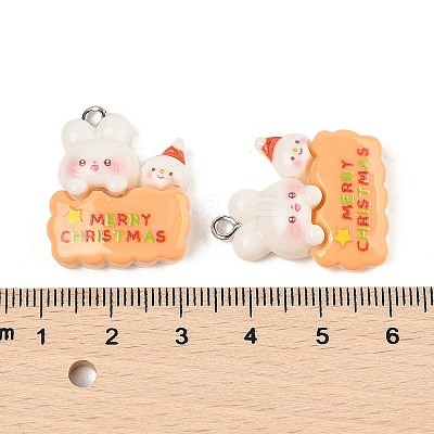 Christmas Theme Rabbit Opaque Resin Pendants RESI-S08-04E-1