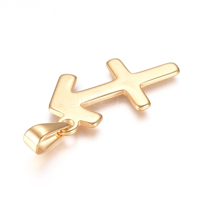 304 Stainless Steel Pendants STAS-L210-06J-G-1