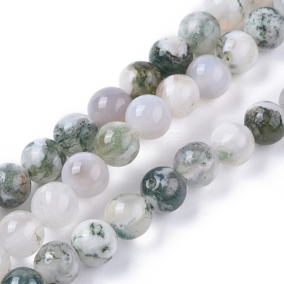 Natural Tree Agate Beads Strands G-L533-22-1
