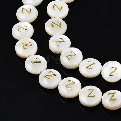 Natural Freshwater Shell Beads SHEL-S276-168-1
