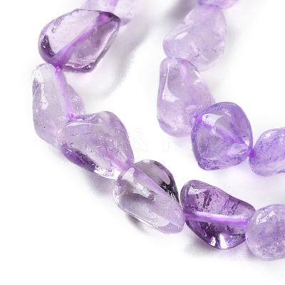 Natural Amethyst(Dyed & Heated) Beads Strands G-P497-01C-47-1