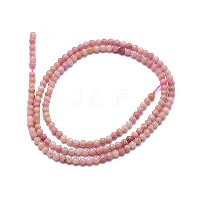 Natural Rhodonite Beads Strands G-A177-04-16-1