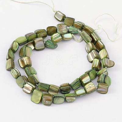 Erose Shell Beads Strands PBB068Y-1