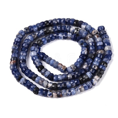 Natural Sodalite Beads Strands G-Q606-46A-03-1