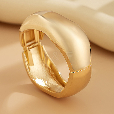 Alloy Hinged Bangles for Women FS-WGCBF0C-01-1