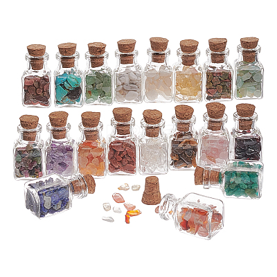 19Pcs Various Gemstone No Hole Chips in Bottles G-PH0034-50-1