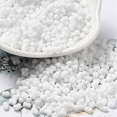 Glass Frosted Seed Beads SEED-K009-05B-01-1