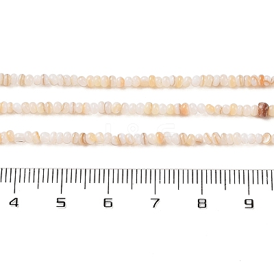 Natural Freshwater Shell Beads Strands SHEL-P017-01A-10-1