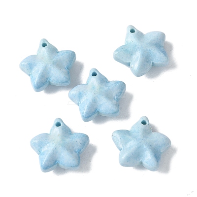 Natural Rainbow Alashan Agate Charms G-G194-02F-1