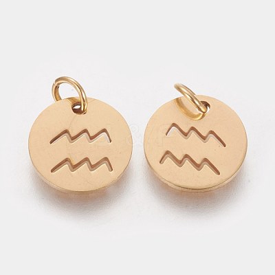 Ion Plating(IP) 304 Stainless Steel Pendants A-STAS-Q201-T445-11G-1