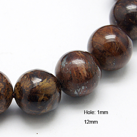 Natural Bronzite Beads Strands G-G212-12mm-42-1