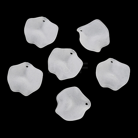 Frosted Acrylic Pendants SACR-F016-02C-1