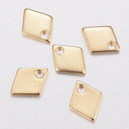 304 Stainless Steel Charms STAS-G179-82G-1