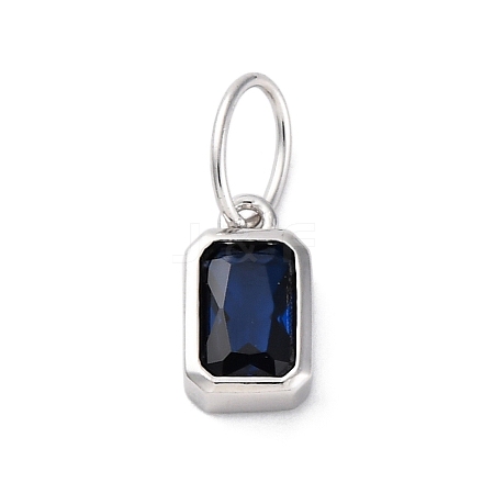 925 Sterling Silver Cubic Zirconia Charms STER-NH0014-01P-10-1