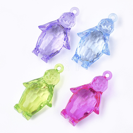 Transparent Acrylic Pendants TACR-S149-03-1