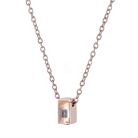 304 Stainless Steel with Clear Glass Rectangle Pendant Urn Ashes Necklaces for Women Men NJEW-WH0013-83RG-1