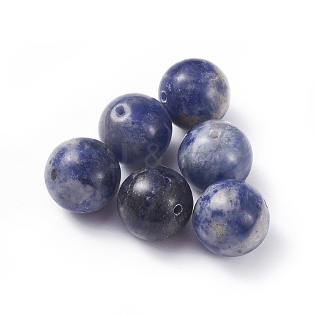 Natural Blue Spot Jasper Beads G-G782-03-1