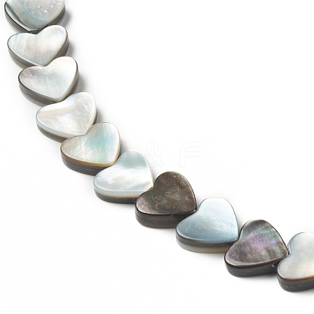 Natural Black Lip Shell Beads Strands SHEL-F004-10-1