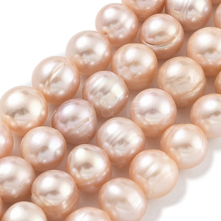 Natural Cultured Freshwater Pearl Beads Strands PEAR-C003-19E-1