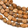Natural Picture Jasper Beads Strands GG-CBA787B-A31-3