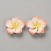 Two Tone Resin Cabochons RESI-WH20010-01D-1