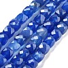 Natural Blue Agate Beads Strands G-C179-B22-01-2