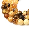 Natural Amber Beads Strands G-K376-H01-01-4