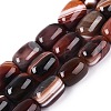 Natural Agate Beads Strands G-N356-02B-03-1