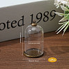 DIY Pendant Kits DIY-CA0006-66C-2