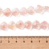 Inner Flower Handmade Lampwork Beads Strands LA-CBA3F7A-02C-4
