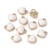Alloy Enamel Charms LS-X-ENAM-Q033-051B-3
