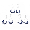 Dangle Earrings EJEW-E255-B01-2