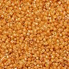 MIYUKI Delica Beads X-SEED-J020-DB2045-3