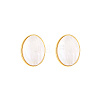 Natural Shell Oval Stud Earrings WV6287-1