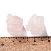 Natural Rose Quartz Carved Healing House Figurines DJEW-P015-01E-3