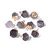 Natural Grey Agate Pendants G-N359-18G-04-1