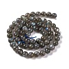 Grade AA Natural Gemstone Labradorite Round Beads Strands G-E251-33-6mm-01-4