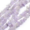 Natural Amethyst Beads Strands G-P406-30-1