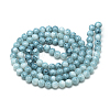 Baking Paint Glass Beads Strands DGLA-S115-6mm-S73-2