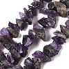 Natural Amethyst Beads Strands G-Q023-G01-01-1