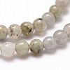Natural Labradorite Bead Strands G-G735-29-4mm-3