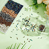 3000Pcs 6 Colors Glass Twisted Bugle Beads SEED-ME0001-13-4