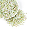 6/0 Glass Seed Beads SEED-N008-07E-1